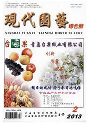 现代园艺封面 现代园艺封面
